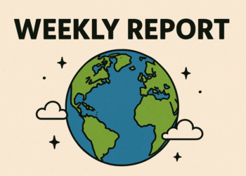 Weekly Report Mei 2025